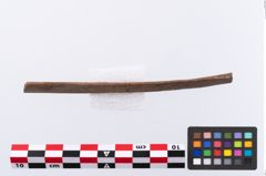 Foto von Beinmessergriffplatte (NHMW-PRAE-002295)